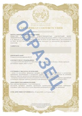 Образец Сертификат СТО 01.064.00220722.2-2020 Элиста Сертификат СТО 01.064.00220722.2-2020 